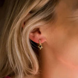 Image of Monarchy Hoops gold 02