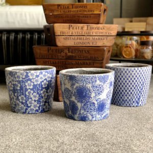 blue pots