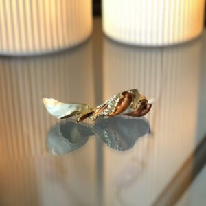 Image of brown bird trinket box open