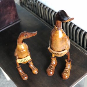 Image of Ducks in Boots