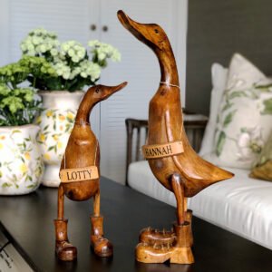 Image of Ducks in Boots