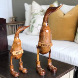 Image of Ducks in Boots